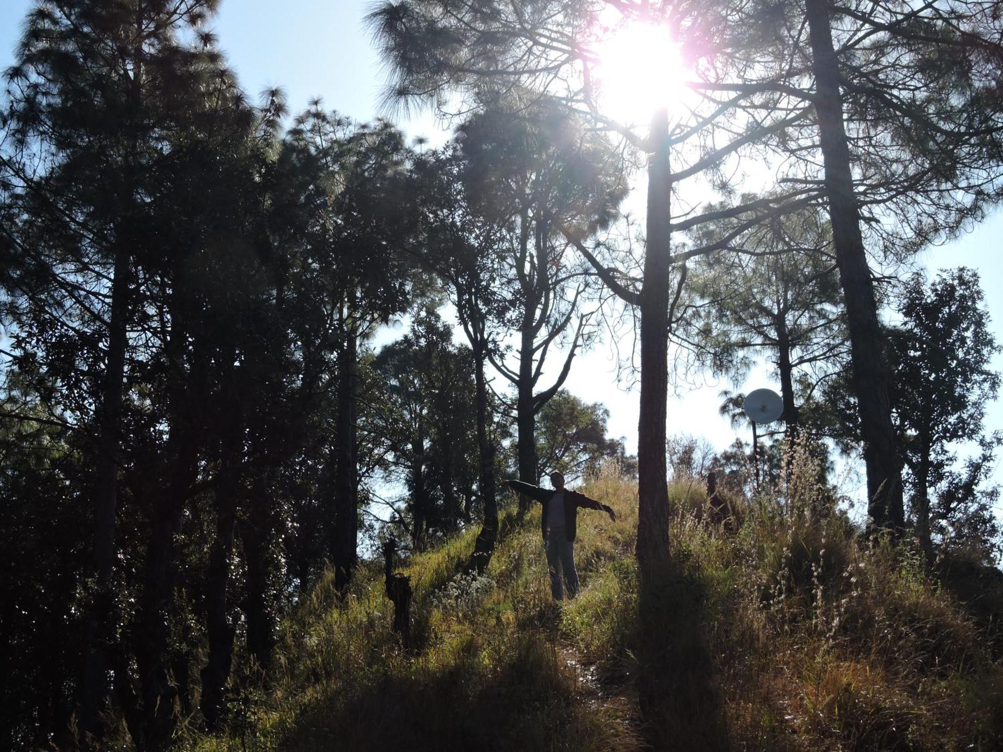 The Manora Woods - Private Hill Top, Gethiya, 奈尼塔尔 外观 照片